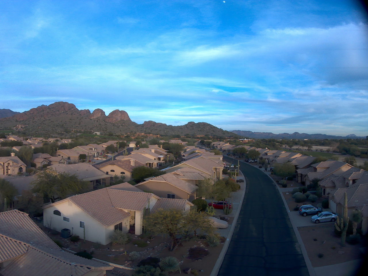 2022-01-13, 001, Brittle Bush, Gold Canyon, AZ