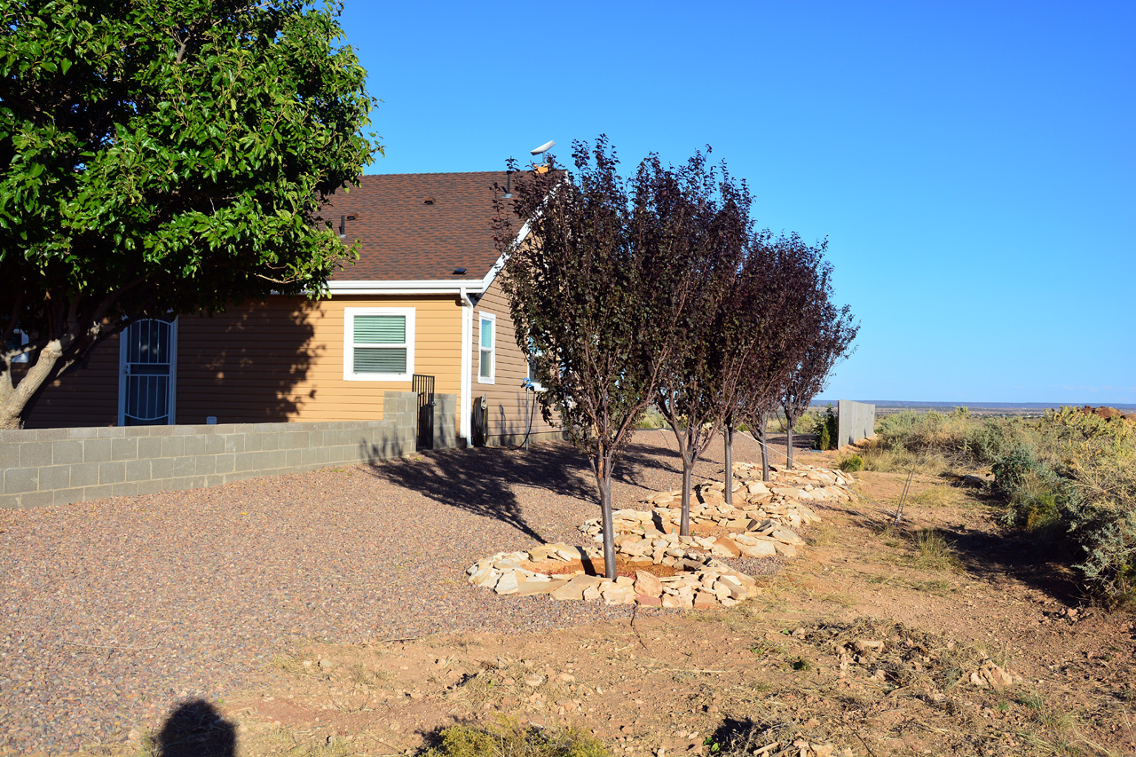 2024-10-05, 003, View of Fire Break around Porch