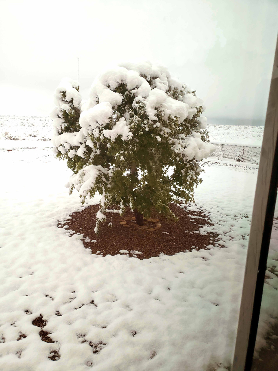 2025-04-19, 01, Snow