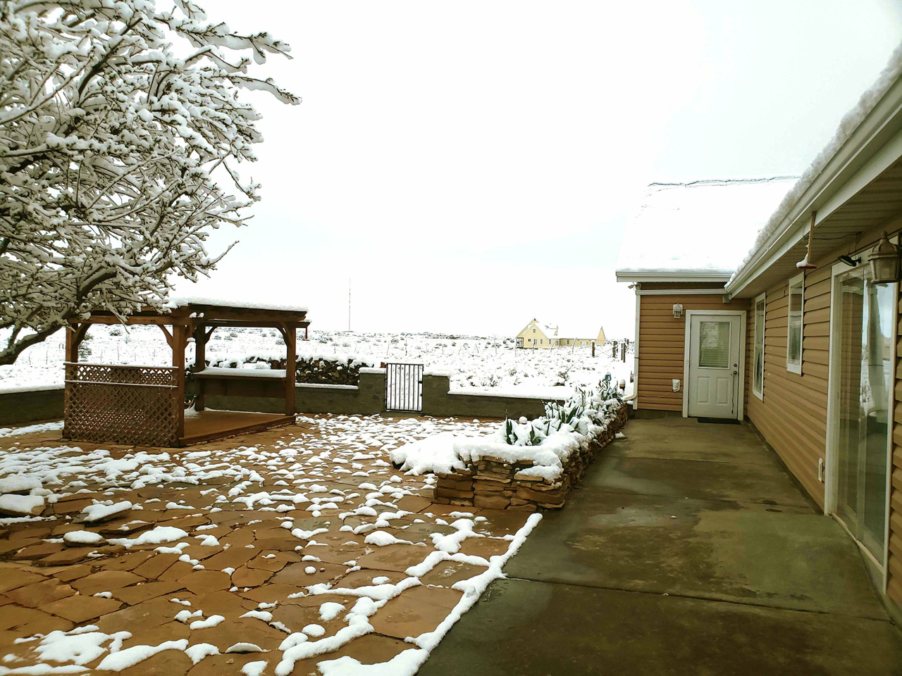 2025-04-19, 05, Snow