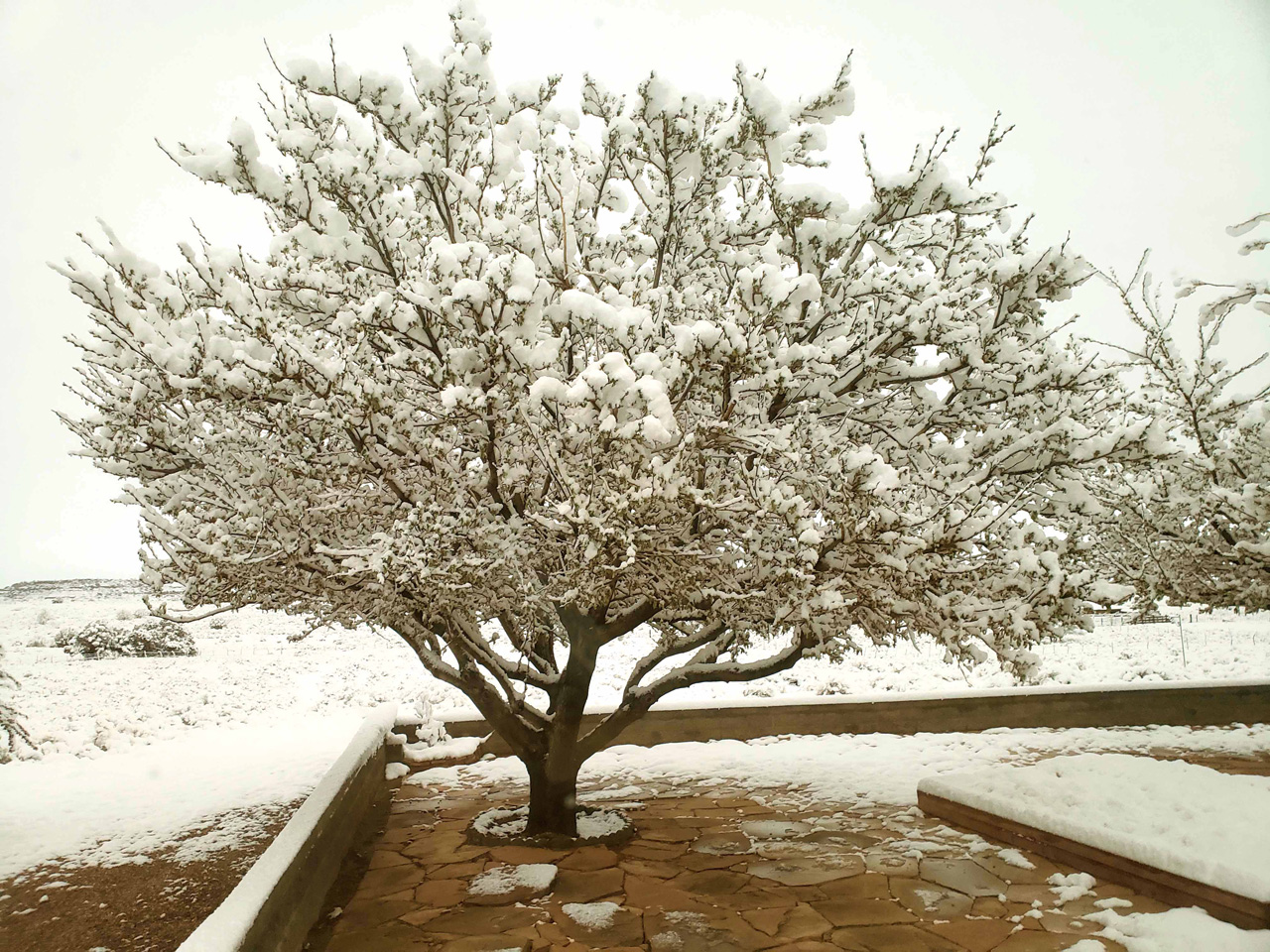 2025-04-19, 10, Snow