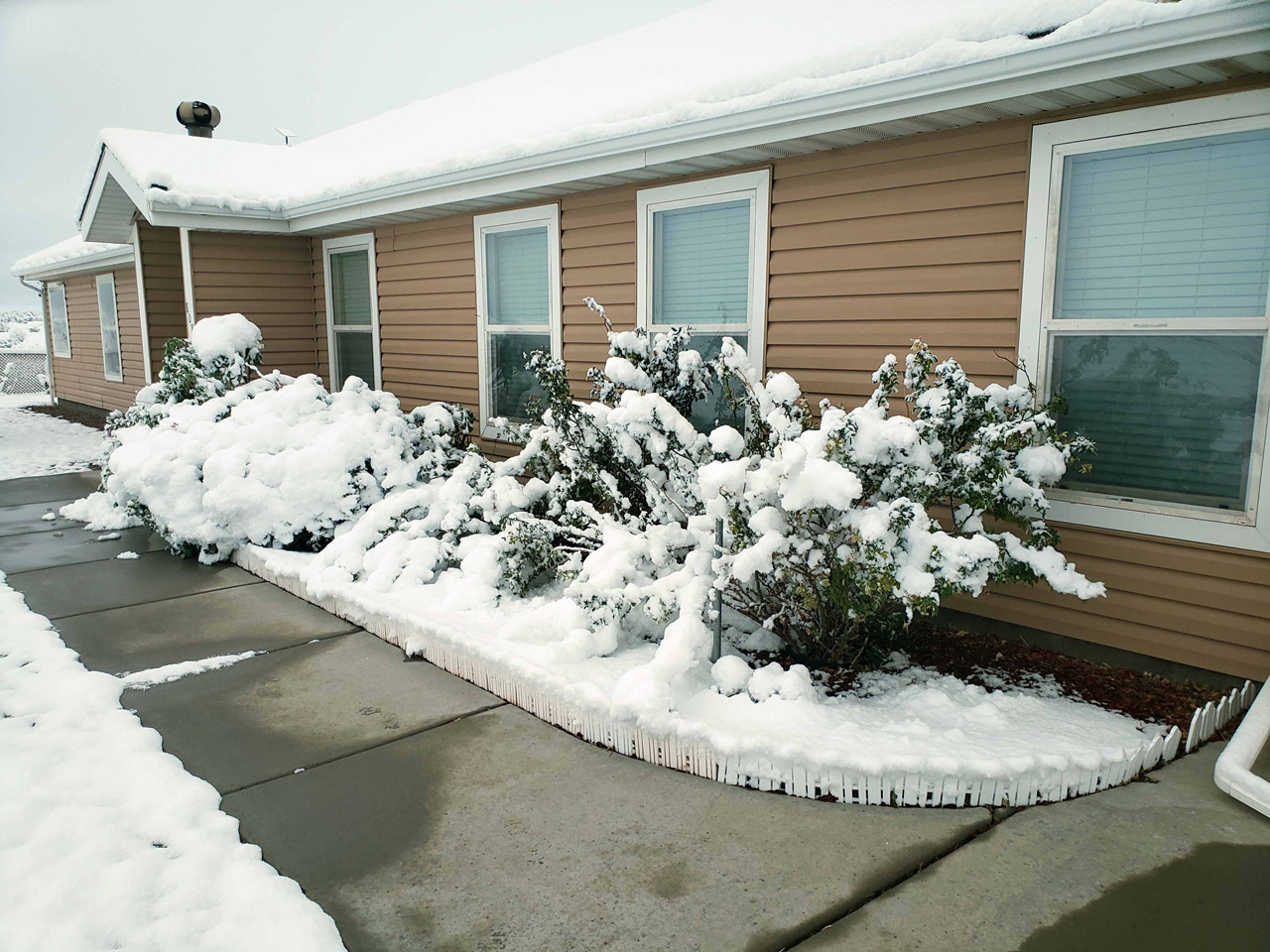 2025-04-19, 14, Snow