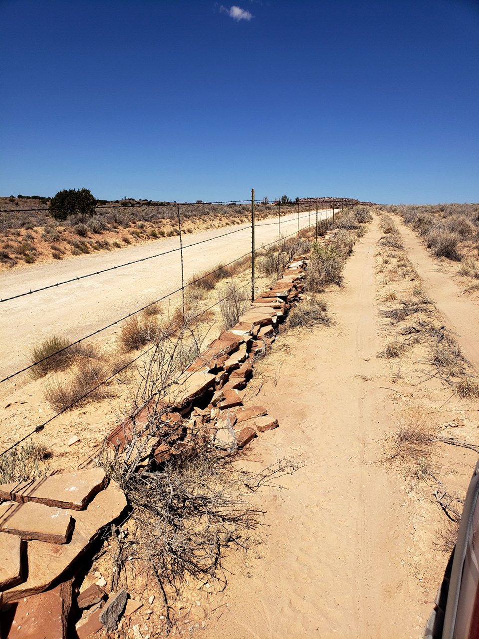2025-06-25, 05, Were the rock went to, alone fence line