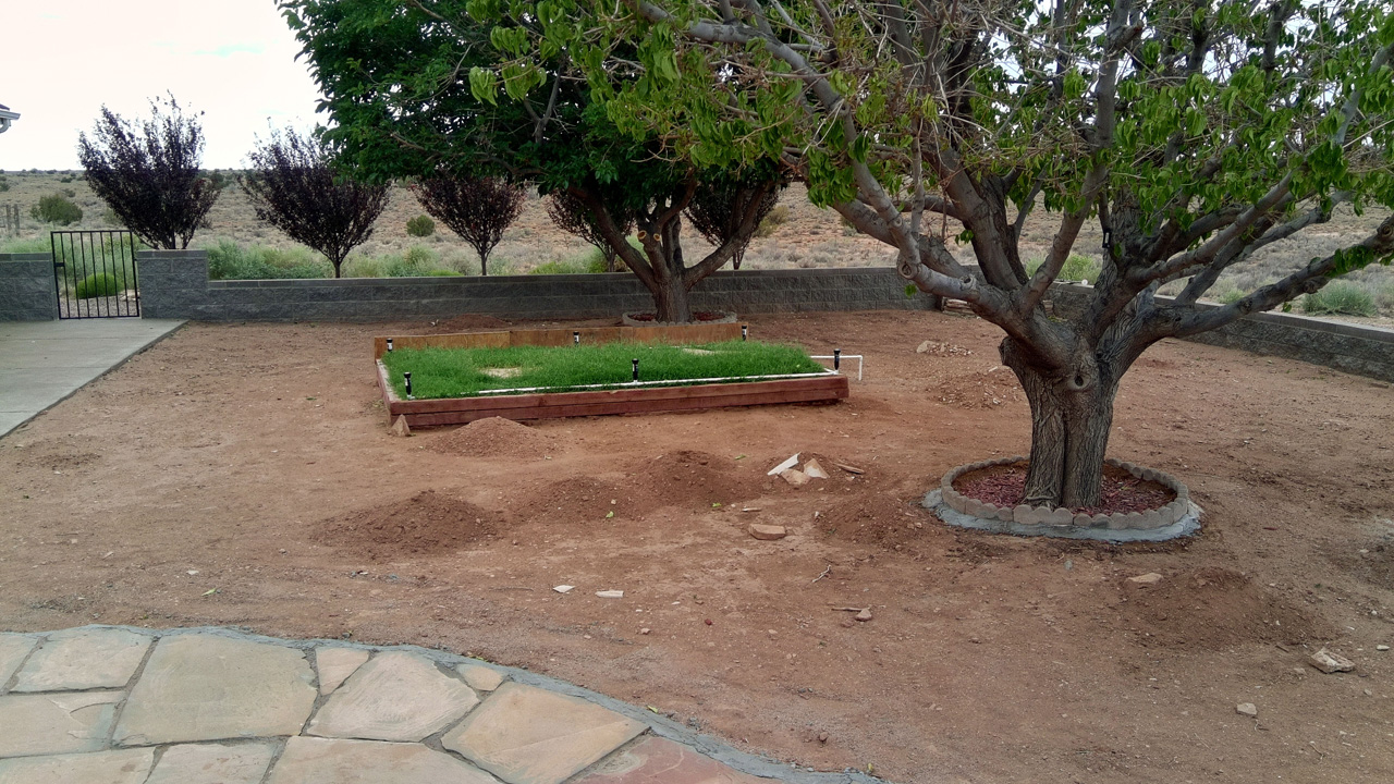 2025-08-10, 01, Rear Porch, Before