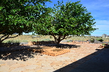 2019-09-25, 12, Rear Porch