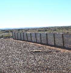 2023-10-04, 01, Fence for Plants